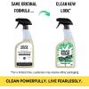 imageMollys Suds Stain Remover Spray  Gentle Yet Powerful Great for Baby ampamp Pet Stains  Clean Simple Ingredients Fragrance Free 16 Fl Oz Pack of 2Fragrance Free